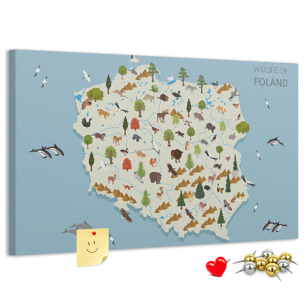 Kurkbord met een kleurrijke kaart van de Poolse fauna