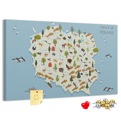 Kurkbord met een kleurrijke kaart van de Poolse fauna