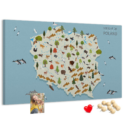Kurkbord met een kleurrijke kaart van de Poolse fauna