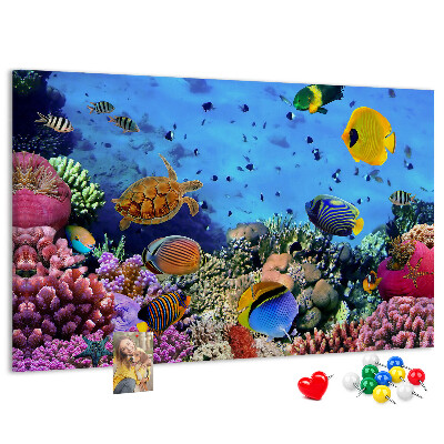 Prikbord met een tropische wereld vol onderwaterkleuren en vissen