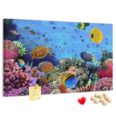 Prikbord met een tropische wereld vol onderwaterkleuren en vissen