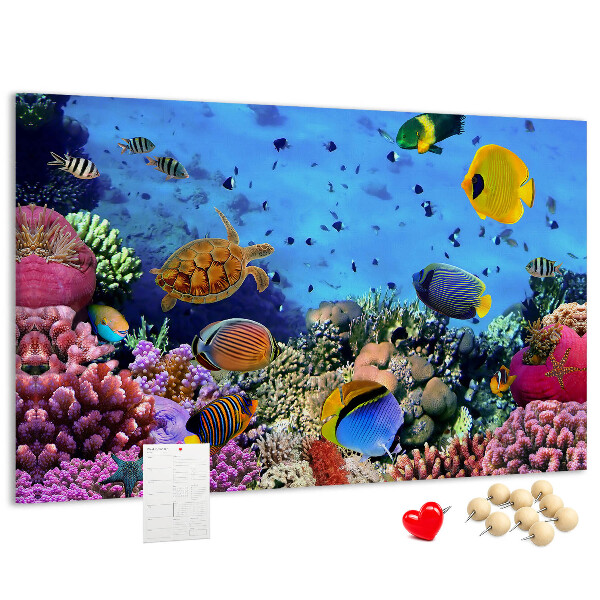 Prikbord met een tropische wereld vol onderwaterkleuren en vissen