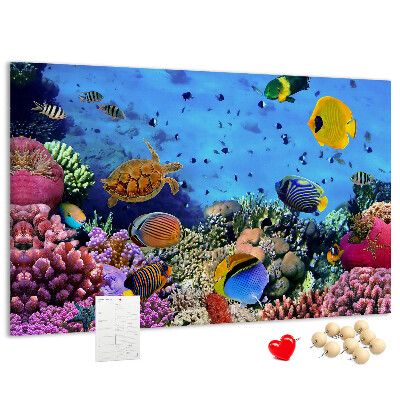 Prikbord met een tropische wereld vol onderwaterkleuren en vissen