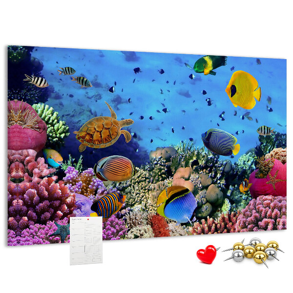 Prikbord met een tropische wereld vol onderwaterkleuren en vissen
