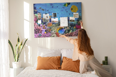 Prikbord met een tropische wereld vol onderwaterkleuren en vissen
