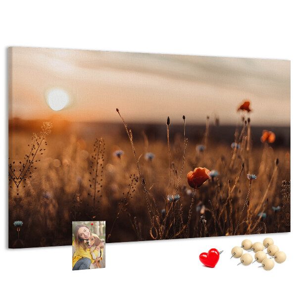 Kurkbord met een gouden klaprozenveld bij zonsondergang
