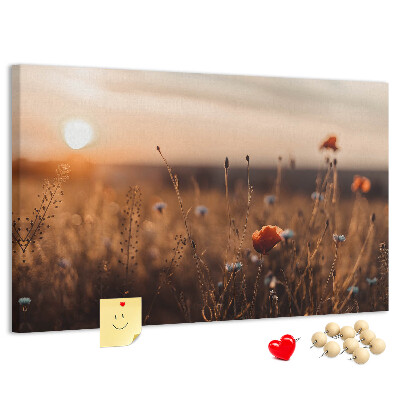 Kurkbord met een gouden klaprozenveld bij zonsondergang