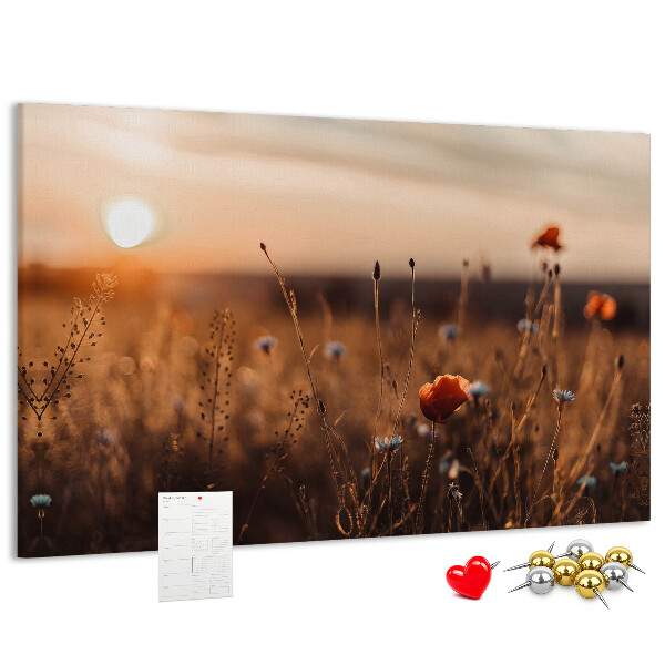 Kurkbord met een gouden klaprozenveld bij zonsondergang
