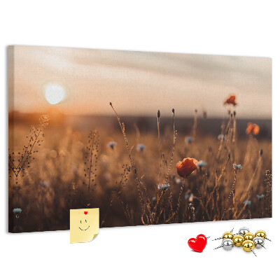 Kurkbord met een gouden klaprozenveld bij zonsondergang
