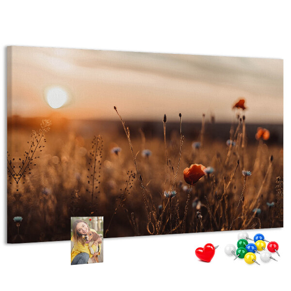 Kurkbord met een gouden klaprozenveld bij zonsondergang