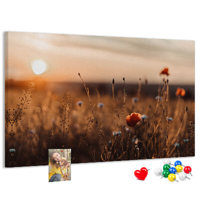 Kurkbord met een gouden klaprozenveld bij zonsondergang