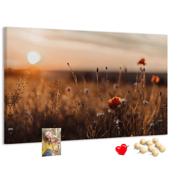Kurkbord met een gouden klaprozenveld bij zonsondergang