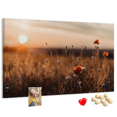 Kurkbord met een gouden klaprozenveld bij zonsondergang