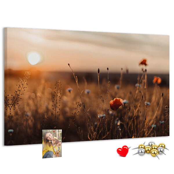 Kurkbord met een gouden klaprozenveld bij zonsondergang
