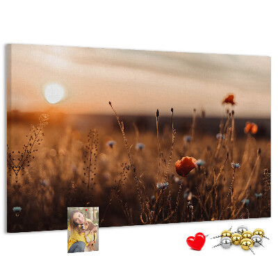 Kurkbord met een gouden klaprozenveld bij zonsondergang