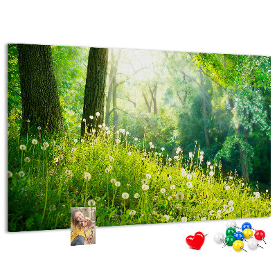 Kurk prikbord met een afbeelding van een groen bos met bloeiende paardenbloemen