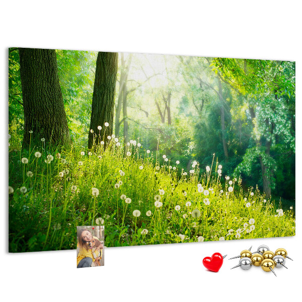 Kurk prikbord met een afbeelding van een groen bos met bloeiende paardenbloemen