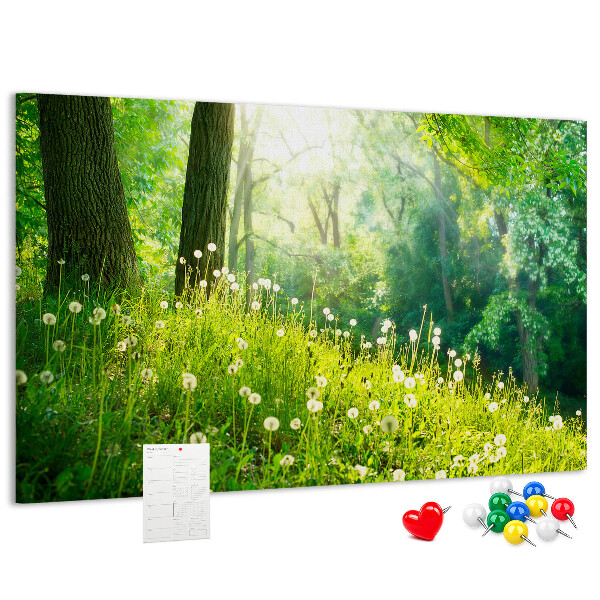 Kurk prikbord met een afbeelding van een groen bos met bloeiende paardenbloemen