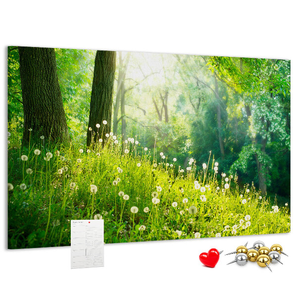 Kurk prikbord met een afbeelding van een groen bos met bloeiende paardenbloemen