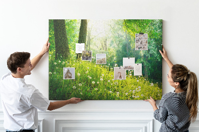 Kurk prikbord met een afbeelding van een groen bos met bloeiende paardenbloemen