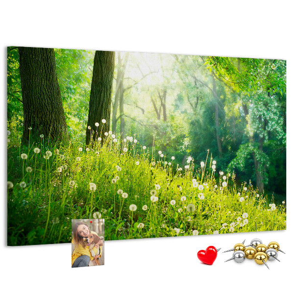 Kurk prikbord met een afbeelding van een groen bos met bloeiende paardenbloemen