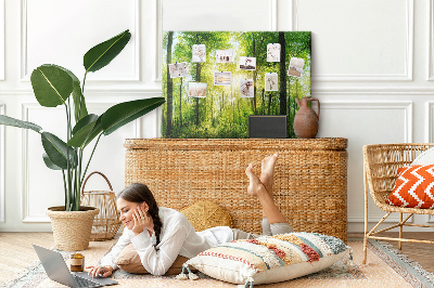 Kurkbord groen bos met zonnestralen