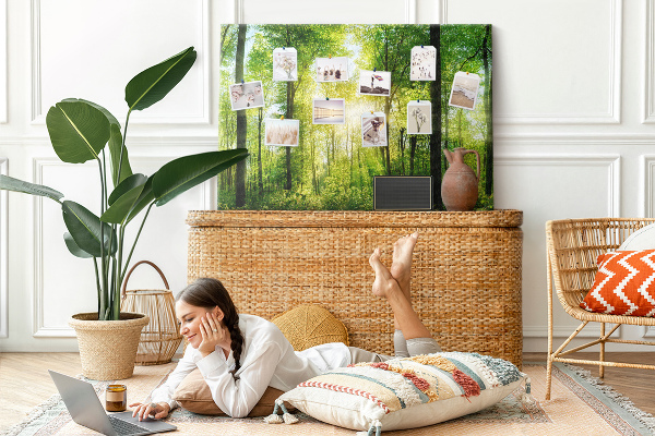 Kurkbord groen bos met zonnestralen