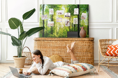 Kurkbord groen bos met zonnestralen