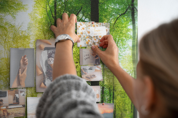 Kurkbord groen bos met zonnestralen