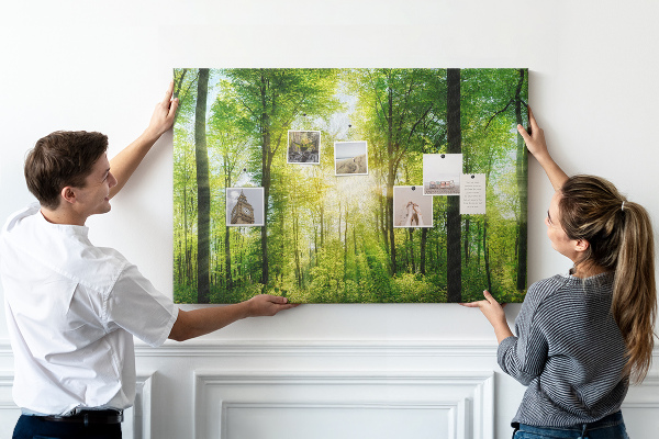 Kurkbord groen bos met zonnestralen