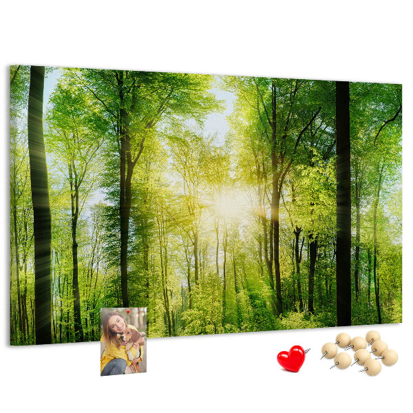 Kurkbord groen bos met zonnestralen