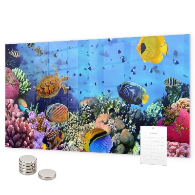 Magneetbord Onderwaterleven