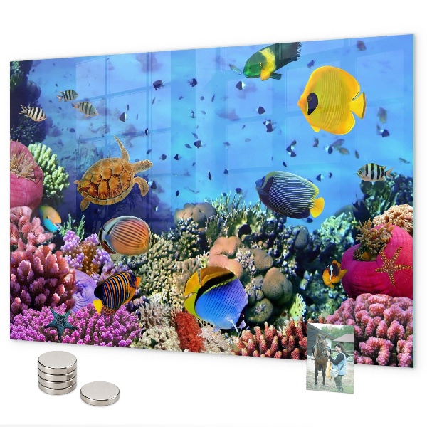 Magneetbord Onderwaterleven