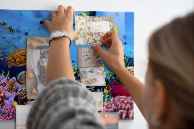 Magneetbord Onderwaterleven