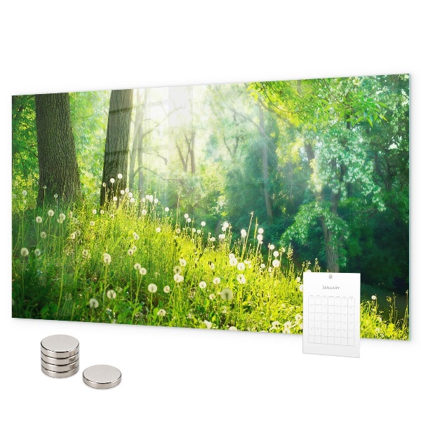 Magnetisch bord Lente natuur