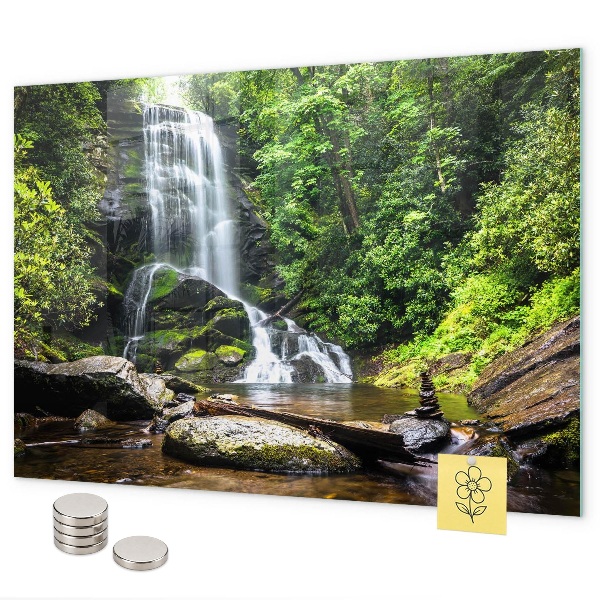 Magnetisch bord Boswaterval