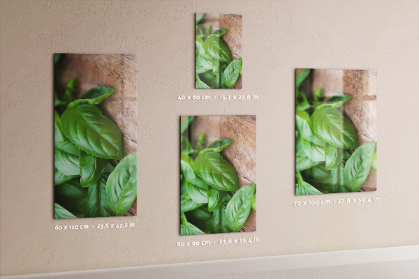 Magnet board Basilicum