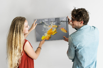 Magnetisch bord Citrusvruchten in water