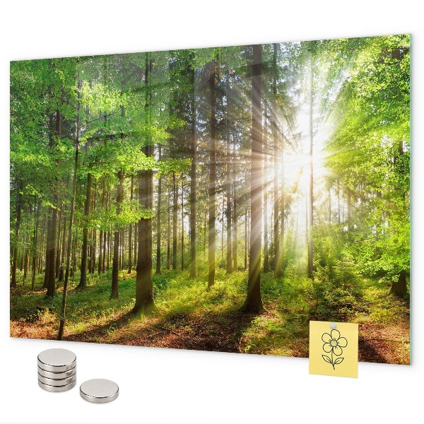 Zonsopgang in het bos