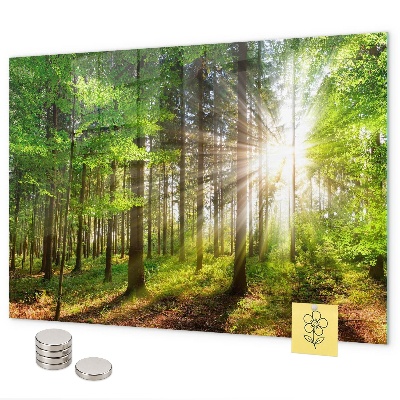 Magneetbord Zonsopgang in het bos