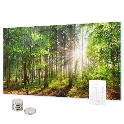 Magneetbord Zonsopgang in het bos