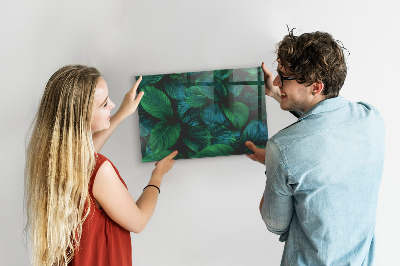 Magnetisch bord Bladeren van de natuur
