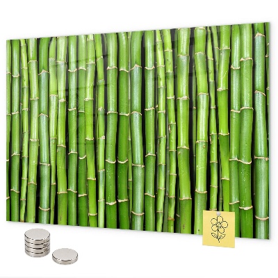 Magnetisch bord Bamboe muur