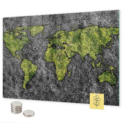 Magnetisch bord Wereldkaart