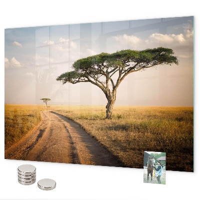 Magnetisch bord Afrikaans landschap