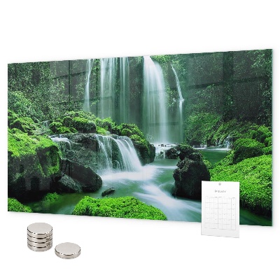 Magnetisch bord Waterval tussen het mos