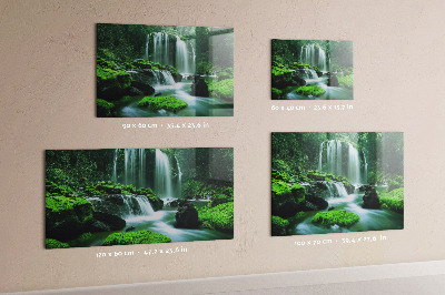 Magnetisch bord Waterval tussen het mos