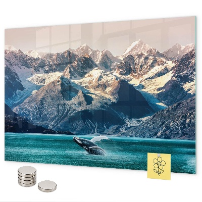 Magnetisch bord Walviswater