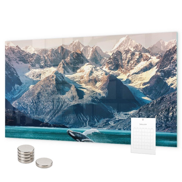 Magnetisch bord Walviswater