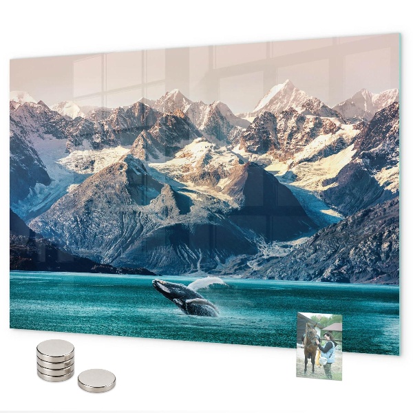 Magnetisch bord Walviswater